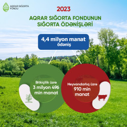 2023-cü ildə sığortalı təsərrüfatlara rekord məbləğdə aqrar sığorta ödənişi edilib