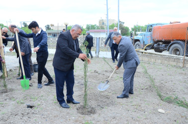 Azərbaycan Respublikasında 2024-cü ilin “Yaşıl dünya naminə həmrəylik ili” elan edilməsi ilə əlaqədar  Neftçala rayonunun Aşağı Qaramanlı kəndində növbəti maarifləndirmə tədbiri  keçirilib