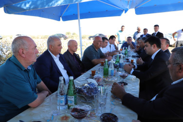 Neftçala rayonunda pambıq yığımı davam etdirilir