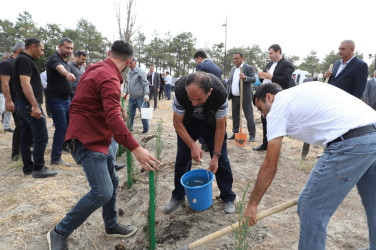 27 sentyabr Anım Günü ilə əlaqədar olaraq ağacəkmə aksiyası keçirilib