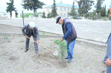 Azərbaycan Respublikasında 2024-cü ilin “Yaşıl dünya naminə həmrəylik ili” elan edilməsi ilə əlaqədar  Neftçala rayonunun Aşağı Qaramanlı kəndində növbəti maarifləndirmə tədbiri  keçirilib