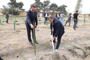 27 sentyabr Anım Günü ilə əlaqədar olaraq ağacəkmə aksiyası keçirilib