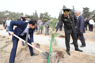 27 sentyabr Anım Günü ilə əlaqədar olaraq ağacəkmə aksiyası keçirilib