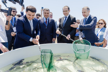 Neftçala rayonunda Beynəlxalq Biomüxtəliflik Günü qeyd edildi