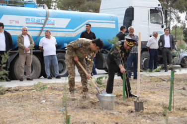 27 sentyabr Anım Günü ilə əlaqədar olaraq ağacəkmə aksiyası keçirilib