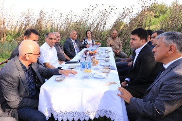 Neftçala rayonunda arpa biçini davam edir