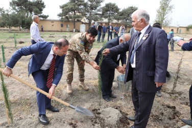 27 sentyabr Anım Günü ilə əlaqədar olaraq ağacəkmə aksiyası keçirilib