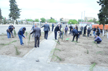 Azərbaycan Respublikasında 2024-cü ilin “Yaşıl dünya naminə həmrəylik ili” elan edilməsi ilə əlaqədar  Neftçala rayonunun Aşağı Qaramanlı kəndində növbəti maarifləndirmə tədbiri  keçirilib