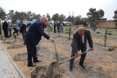 27 sentyabr Anım Günü ilə əlaqədar olaraq ağacəkmə aksiyası keçirilib