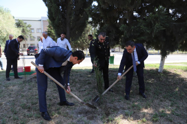 Neftçala rayonunda 17 iyun – Tibb İşçilərinin Peşə Bayramı Günü qeyd olunub