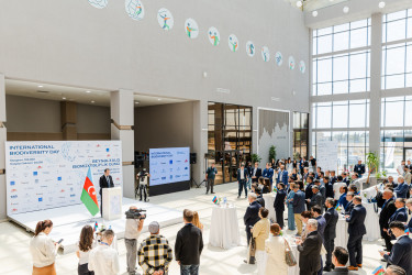 Neftçala rayonunda Beynəlxalq Biomüxtəliflik Günü qeyd edildi