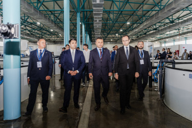 Neftçala rayonunda Beynəlxalq Biomüxtəliflik Günü qeyd edildi