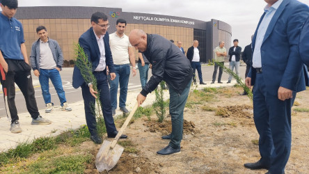 Neftçala rayonunda Azərbaycan Basketbol Federasiyasının gənclərlə görüşü keçirilib