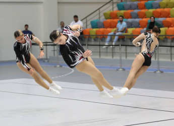 Neftçala rayonunda aerobika gimnastikası üzrə 8-ci ölkə çempionatı başa çatıb və qaliblər mükafatlandırılıblar.