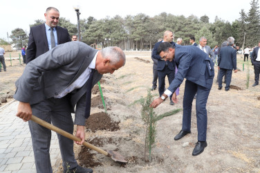 27 sentyabr Anım Günü ilə əlaqədar olaraq ağacəkmə aksiyası keçirilib